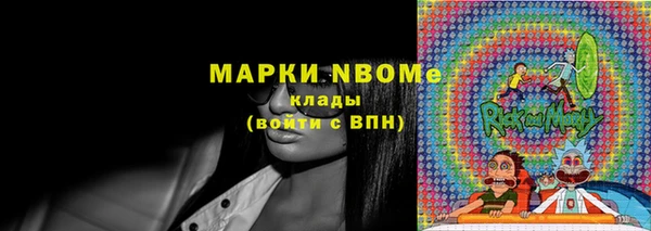стафф Кодинск