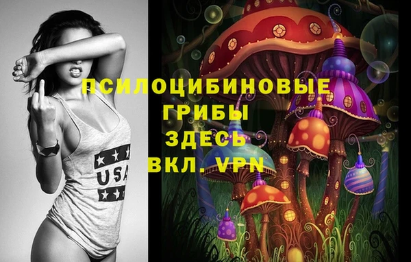 хмурый Козельск