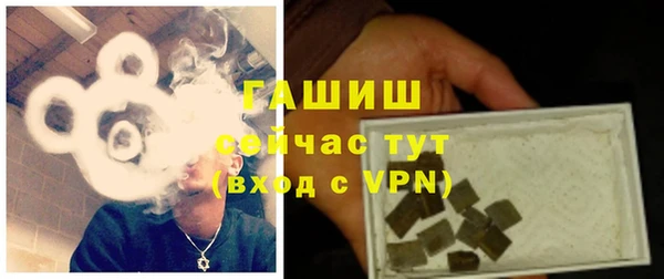 стафф Кодинск