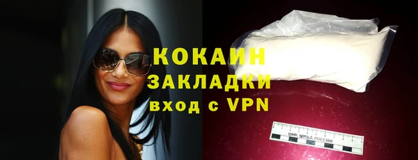 стафф Кодинск