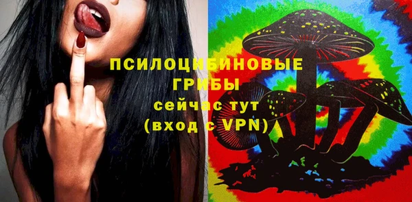 хмурый Козельск