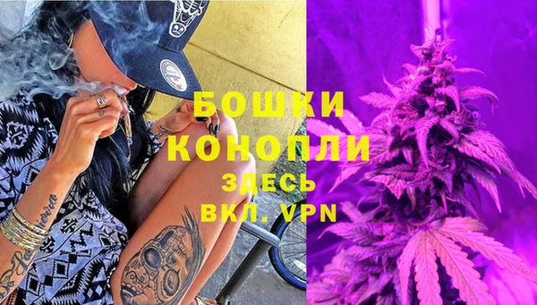 стафф Кодинск