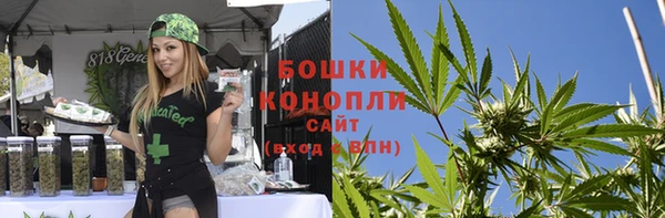 стафф Кодинск