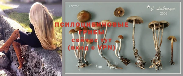 хмурый Козельск