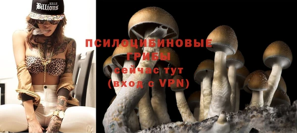 хмурый Козельск