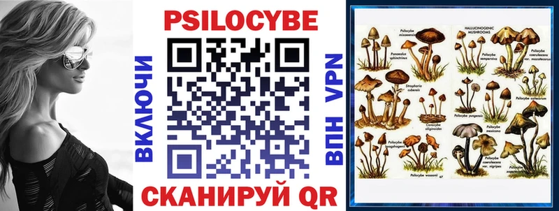 Галлюциногенные грибы Magic Shrooms  Купить где  Гаврилов Посад 
