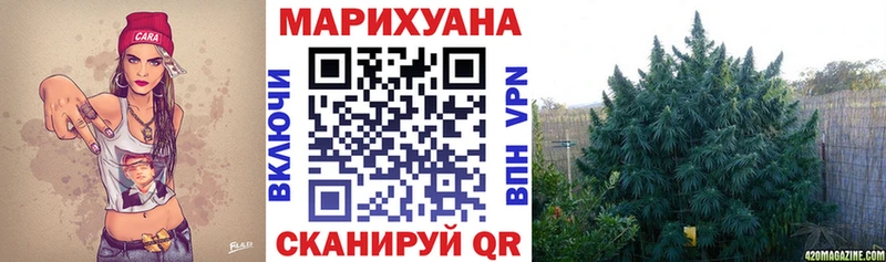 Каннабис план  Купить  Гаврилов Посад 